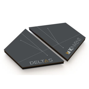 deltas-1 Platforma dynamometryczna